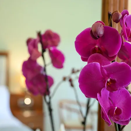 Hotel Vantaris Palace 4*